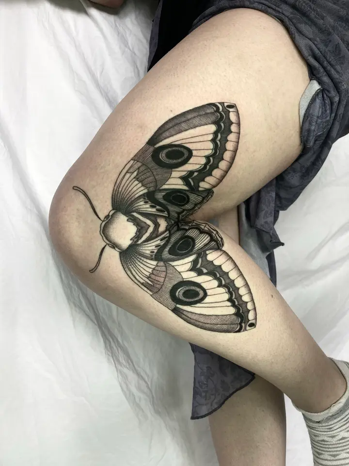 Knee Moth — Blackwork tattoo by Nillattt, photo 1